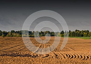 Plowed autumn farm field landscape