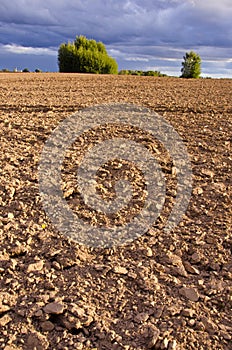 Plowed autumn farm field landscape with clouds