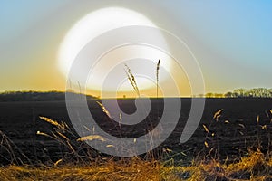 Plowed chernozem Ukrainian field at sunset photo