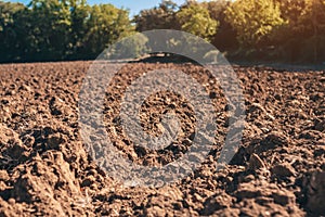 Plowed farm field in autumn