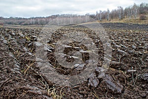 Plowed farm field