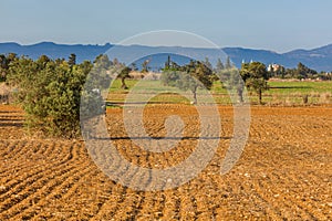 Plowed farm field