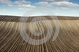 Plowed fertile field panonia