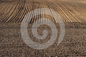 Plowed field