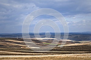 Plowed field