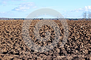 Plowed field