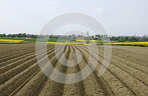 Plowed field