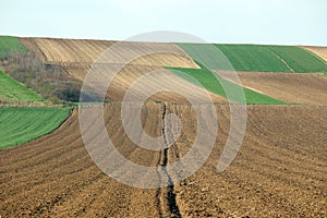 Plowed field  agriculture landscape Voivodina