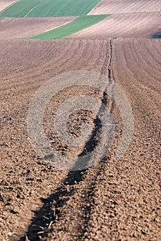 Plowed field  agriculture Voivodina