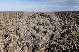 Plowed field in the autumn time