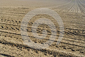 Plowed field background