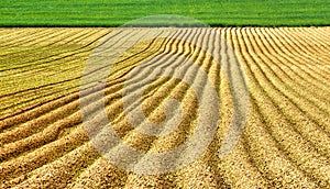 Plowed field background