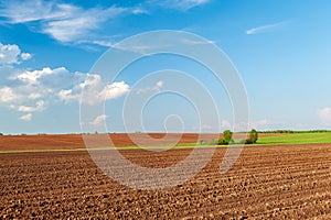 plowed field and blue sky in sunset.