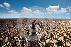 A plowed field and clouds