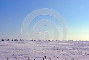 Plowed field covered with snow, line of poplar trees without leaves on the hills on horizon, winter landscape, sky