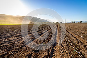 Plowed field with drip irrigation system,