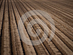 plowed field on farm ready to be seeded