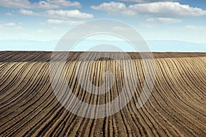 Plowed field farmland landscape