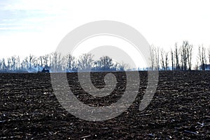Plowed field humus with tractor and tree planting line