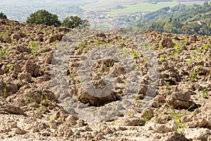 Plowed Field in the Marche region of Italy