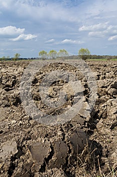 Plowed field. Preparation for sowing.