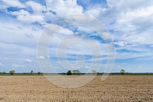 Plowed field. preparation for sowing.