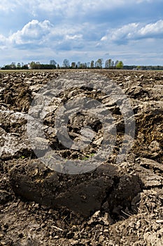 Plowed field. preparation for sowing.