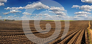 plowed field prepared for sowing and a line of rows, beautiful blue sky with clouds