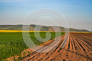 Plowed field, ready for planting seeds, in the west of Romania, Europe.