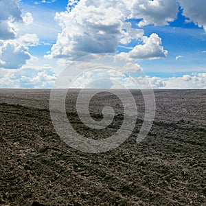Plowed field and sky