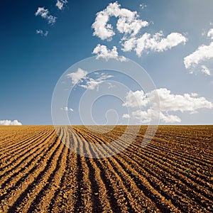 Plowed field and sky in sunset