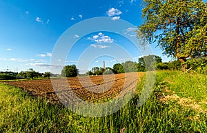 Plowed field. A small farm. Cereal cultivation