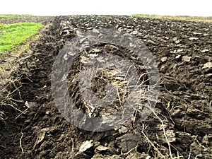 Plowed field with Ukrainian chernozem. Closeup. photo