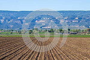 Plowed field in western Colorado