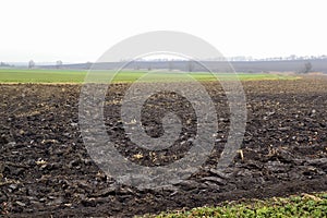 Plowed field in wintertime