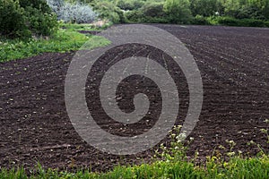 Plowed Agricultural Field with Seedlings and Forest Background â Spring Rural Landscape photo