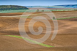 Plowed fields prepared for sowing