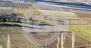 Plowed fields and trees in between. Top view.