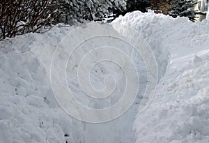 Plowed footpath through the deep snow