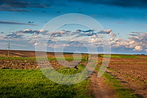 mix of plowed and green field, dirt road and hills, clouds at sky, the springtime