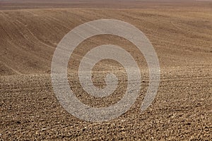 Plowed and harrowed field