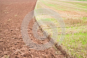 Plowed and harrowed field