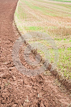 Plowed and harrowed field