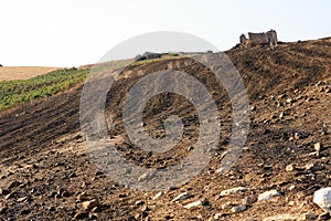 Plowed hillside field