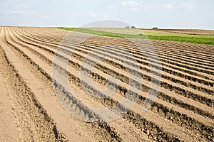 Plowed field