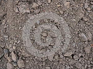 Plowed land in large clods close-up