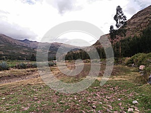 Plowed land near trees photo