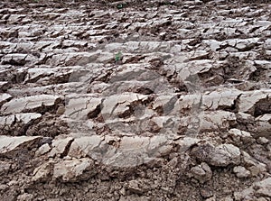 Plowed Land Soil