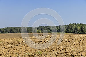plowed soil in the field for sowing plants
