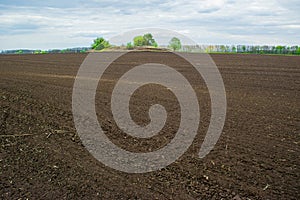 Plowed sown agricultural field with black fertile soil. Spring landscape with agricultural plantation land